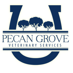 Pecan Grove Veterinary Services